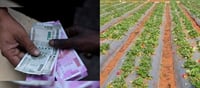 మనీ: కేవలం మూడు నెలల్లోనే.. రూ.20 లక్షల వరకు ఆదాయం..!!